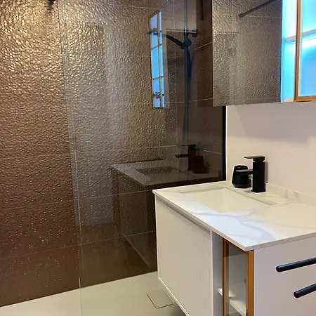 De Wielingen 0204 公寓 *